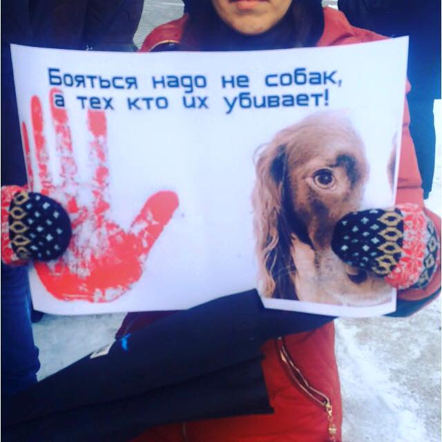 В окупованому Донецьку відбувся мітинг проти відстрілу собак (ФОТО, ВІДЕО) - фото 1