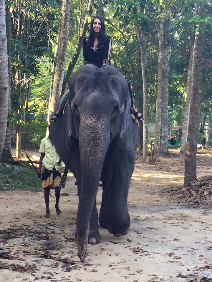 Джамала на Шрі-Ланці осідлала величезного слона - фото 2