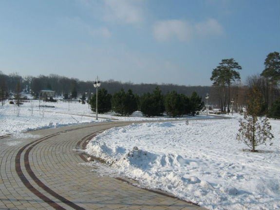 Неймовірна краса зимового парку "Феофанія" у Києві   - фото 1