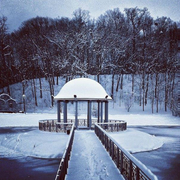 Неймовірна краса зимового парку "Феофанія" у Києві   - фото 3