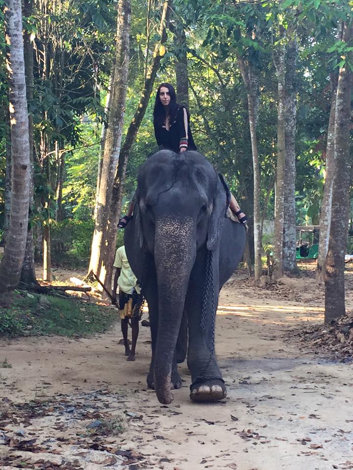 Джамала на Шрі-Ланці осідлала величезного слона - фото 3