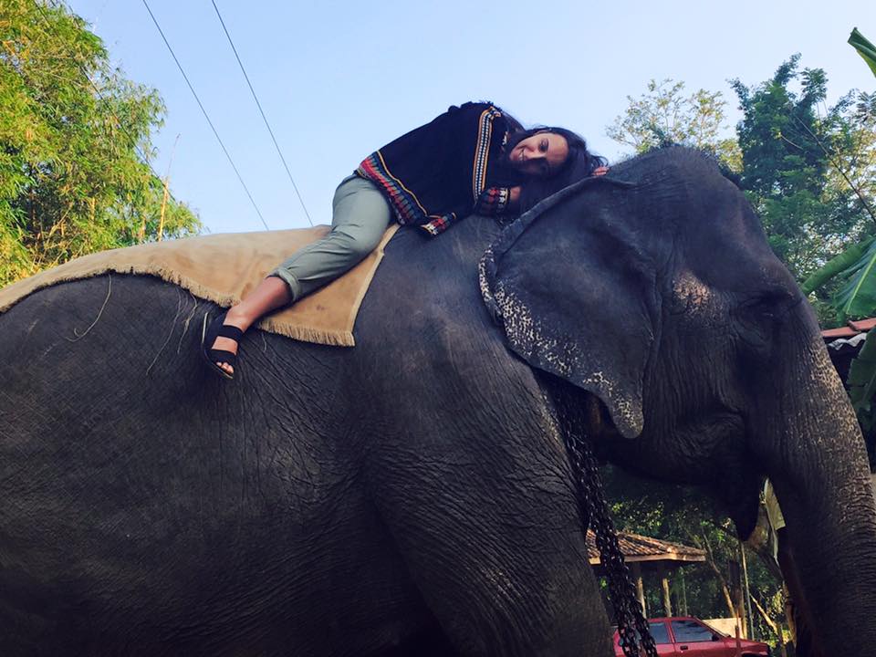 Джамала на Шрі-Ланці осідлала величезного слона - фото 4