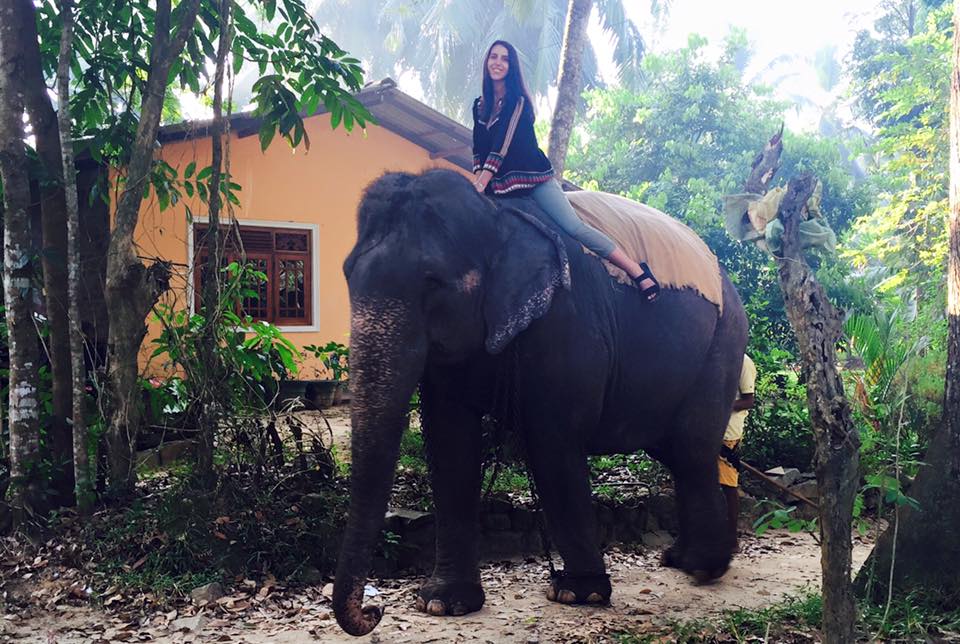 Джамала на Шрі-Ланці осідлала величезного слона - фото 5
