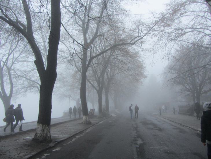 Ужгород у тумані: 50 відтінків сірого - фото 5