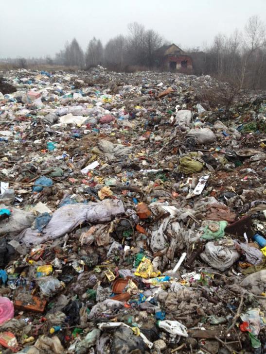 Закарпатське сміттєзвалище шокує інтернет-спільноту  - фото 2