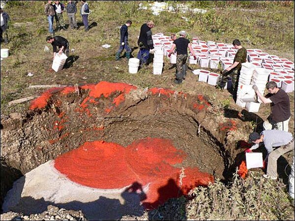 На Камчатці знищили більше чотирьох тонн свіжої червоної ікри (ФОТО) - фото 5