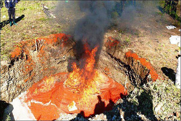 На Камчатці знищили більше чотирьох тонн свіжої червоної ікри (ФОТО) - фото 6