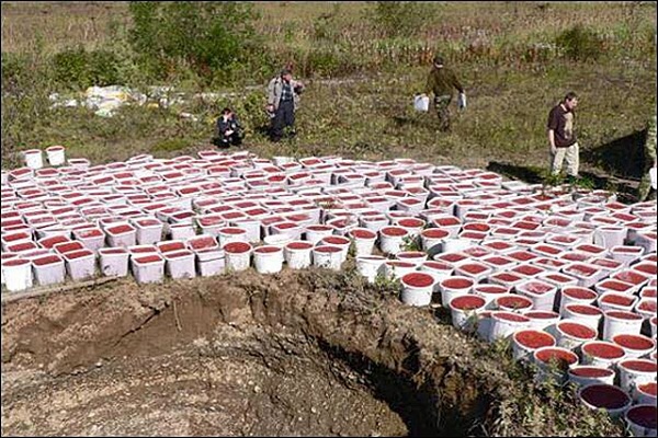 На Камчатці знищили більше чотирьох тонн свіжої червоної ікри (ФОТО) - фото 3
