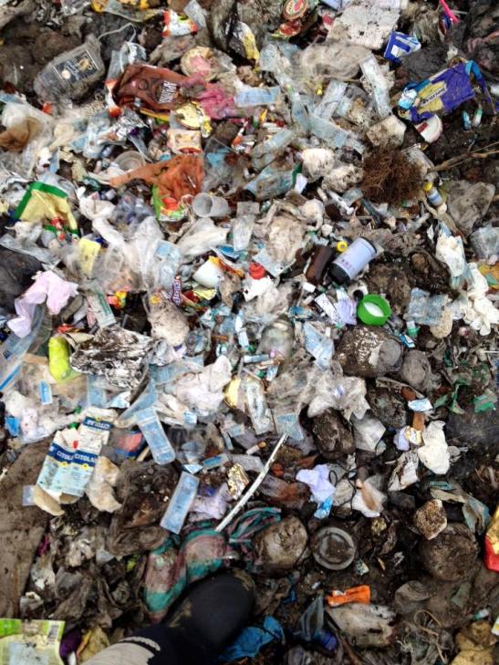 Закарпатське сміттєзвалище шокує інтернет-спільноту  - фото 1