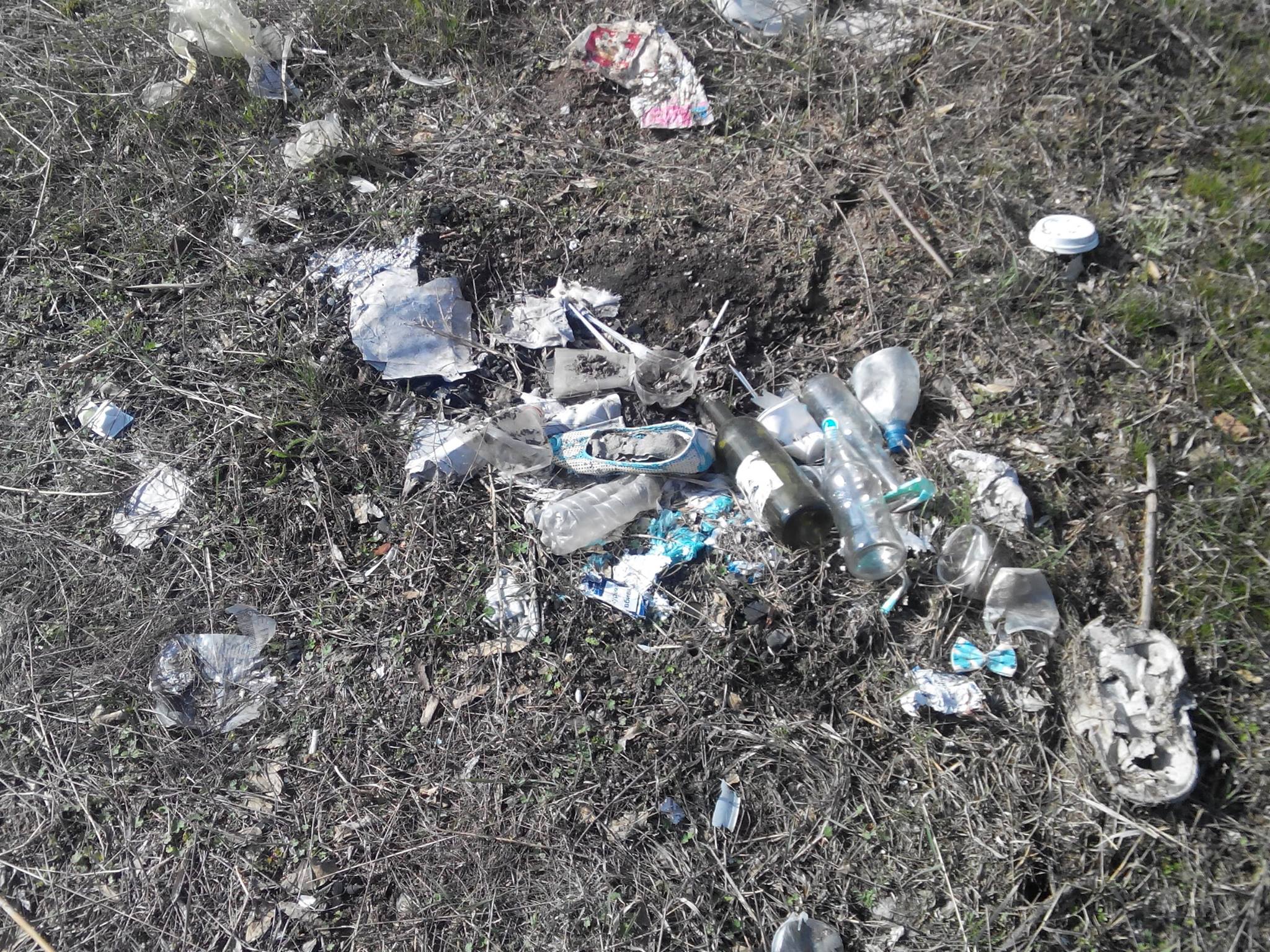 У Миколаєві лебеді злякалипсь смітника у парку та полетіли - фото 1