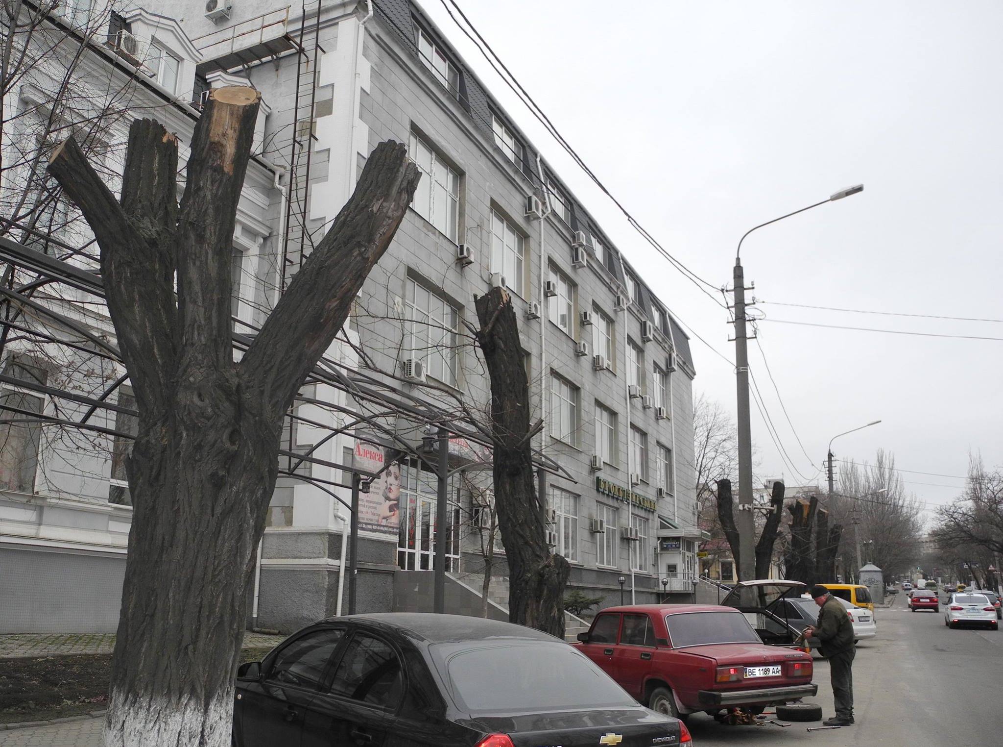 У Миколаєві комунальники за два роки пригадали, що їх просили спиляти дерева