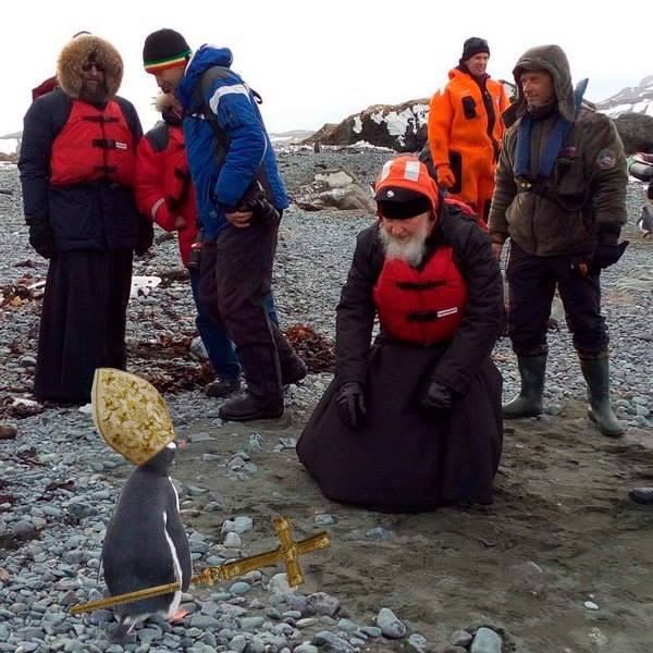 Як Гундяєв пінгвінів в Антарктиді хрестив (ФОТОЖАБИ) - фото 20