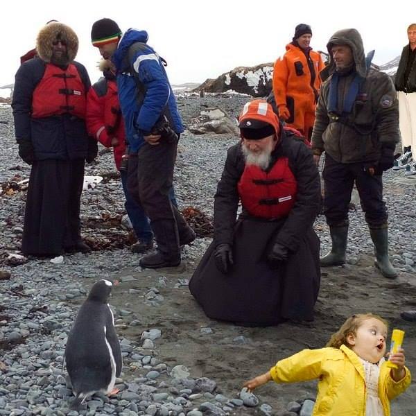 Як Гундяєв пінгвінів в Антарктиді хрестив (ФОТОЖАБИ) - фото 12