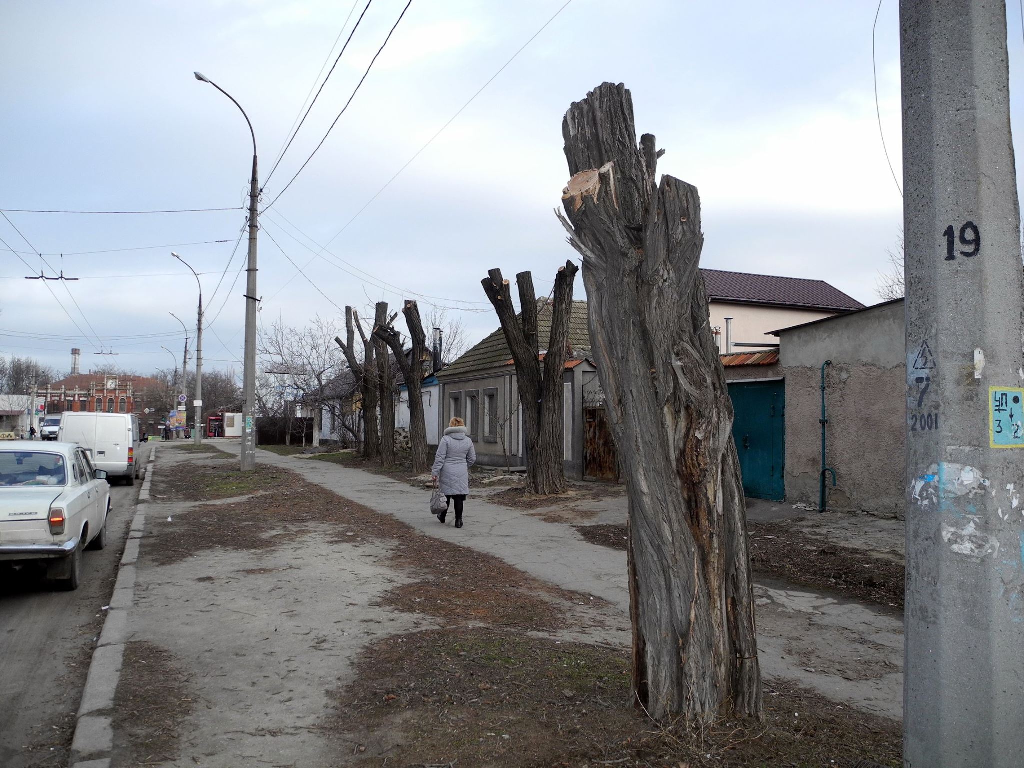 У Миколаєві комунальники за два роки пригадали, що їх просили спиляти дерева