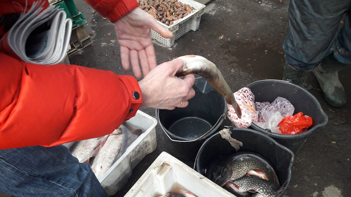 У Конотопі торгують "дохлою" рибою - фото 4