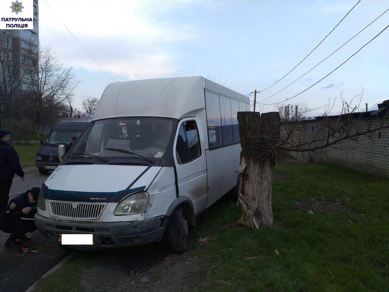 У Миколаєві п'яна жінка за кермом маршрутки влетіла в дерево - фото 2