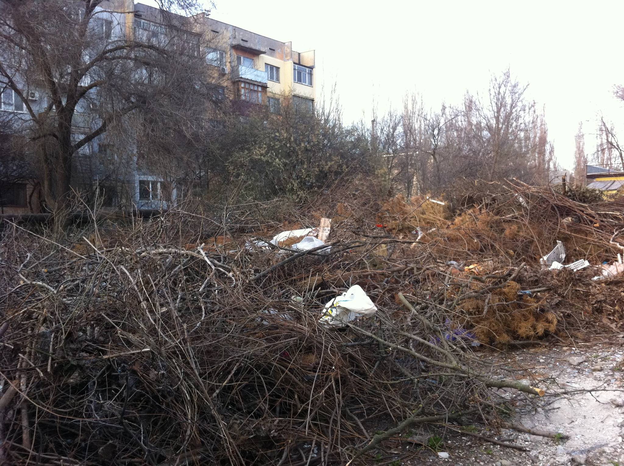 Миколаївець показав, як комунальники перетворили двір на сміттєзвалище