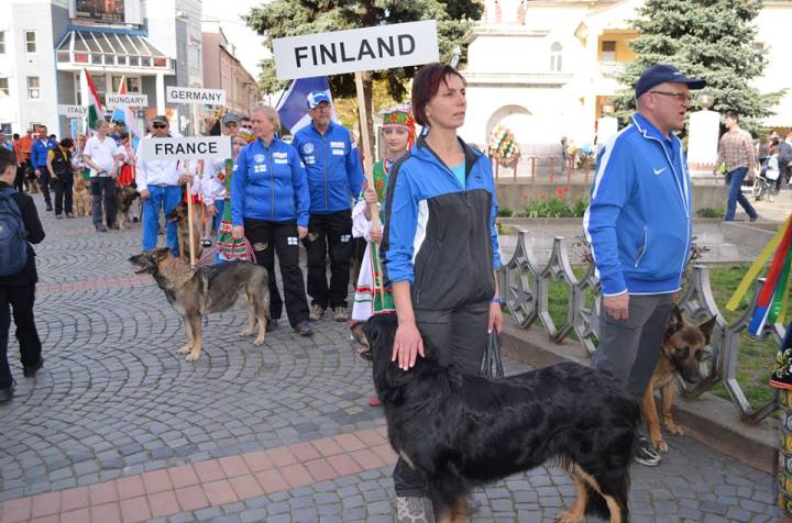 У Мукачево на змагання привезли собак з 21 країни - фото 4