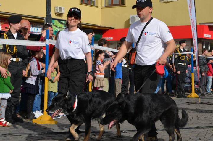 У Мукачево на змагання привезли собак з 21 країни - фото 3