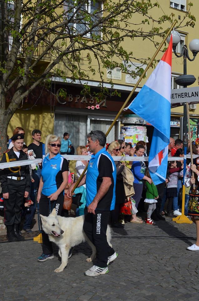 У Мукачево на змагання привезли собак з 21 країни - фото 5