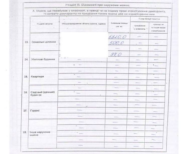 Саакашвілі живе на зарплату губернатора (Документ) - фото 3