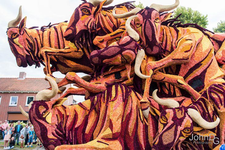 10 величезних монстрів, які навіть в Голандії можна побачити лише раз - фото 11