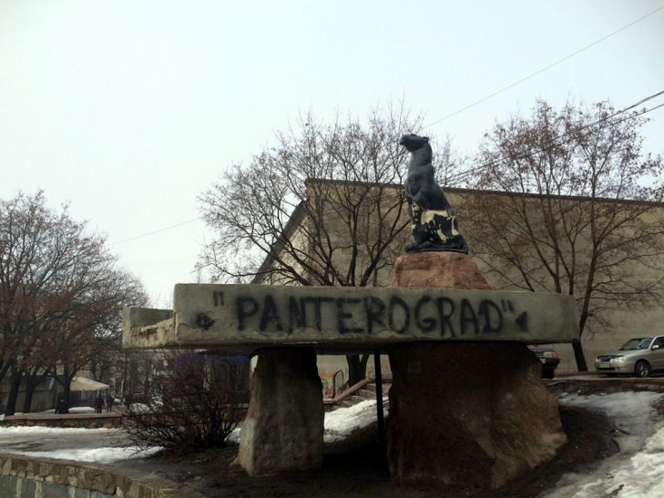 Кіровоград запропонували назвати Пантероградом - фото 1