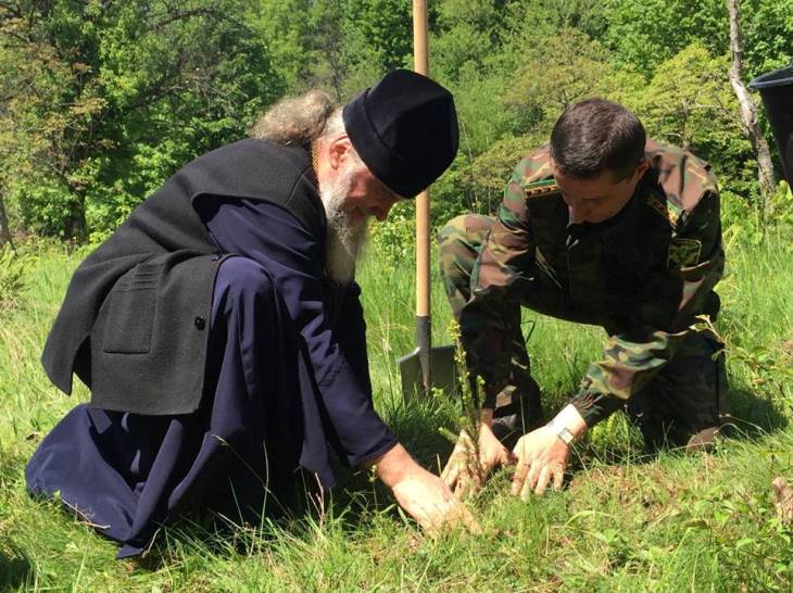 На Ужгородщині висадили дерева на честь героїв Другої світової - фото 1