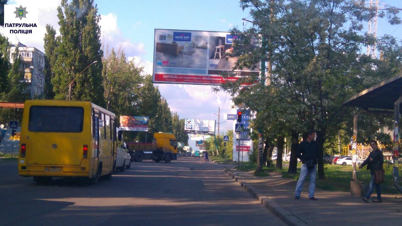 У Миколаєві гілля дерев перекриває дорожні знаки