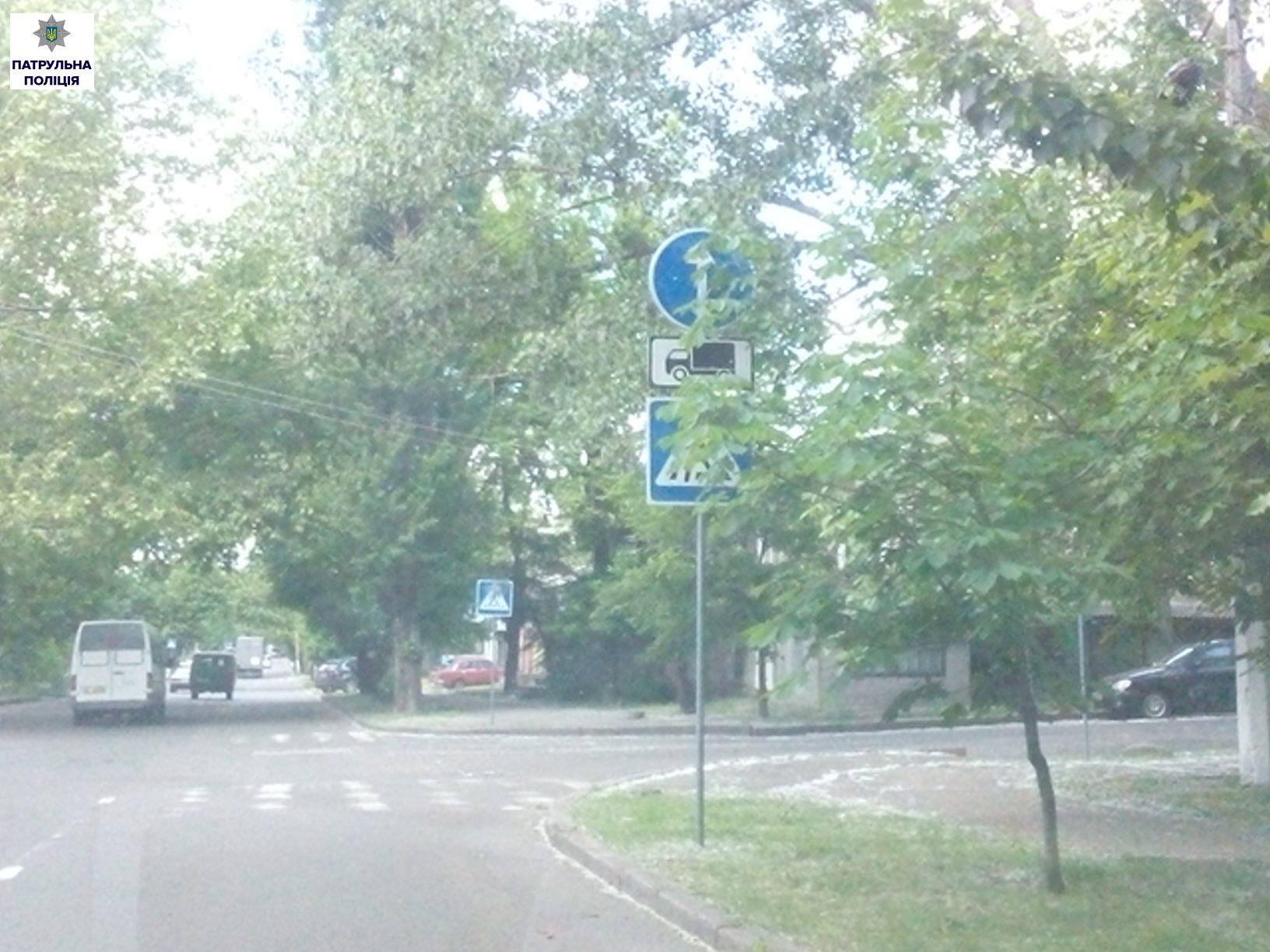 У Миколаєві гілля дерев перекриває дорожні знаки