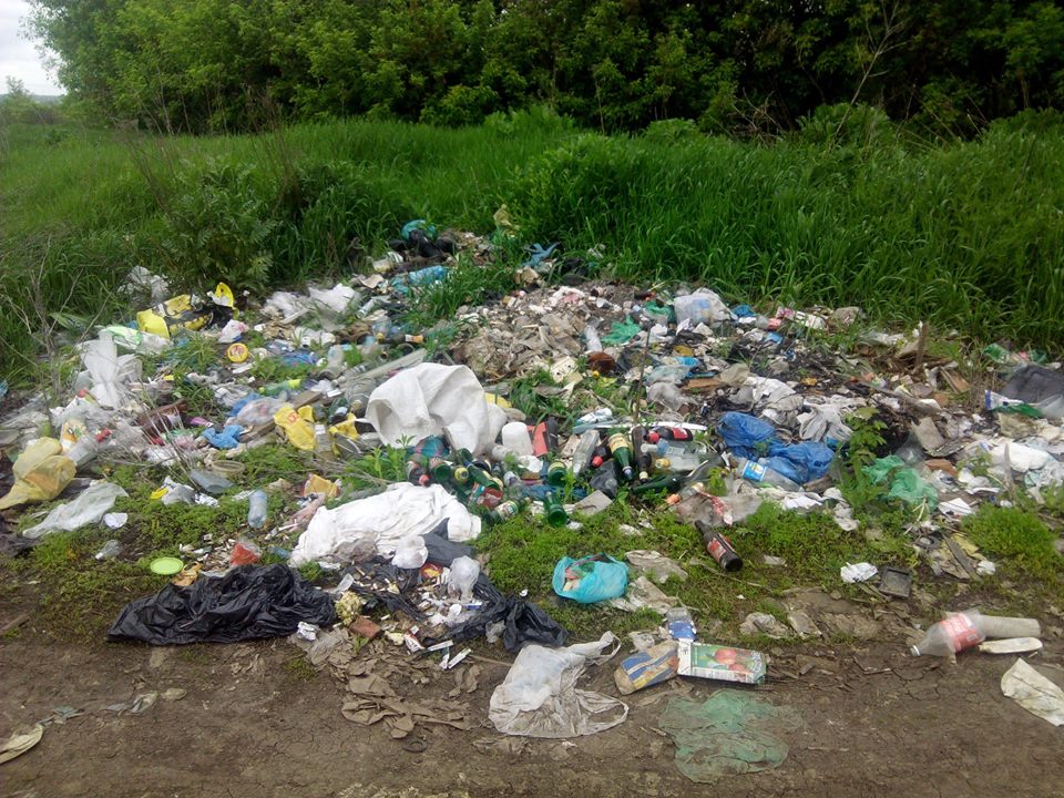 Харків’яни поскаржилися екологам на небезпечні звалища  - фото 3