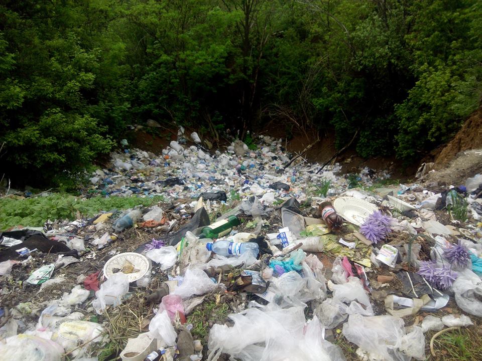 Харків’яни поскаржилися екологам на небезпечні звалища  - фото 1