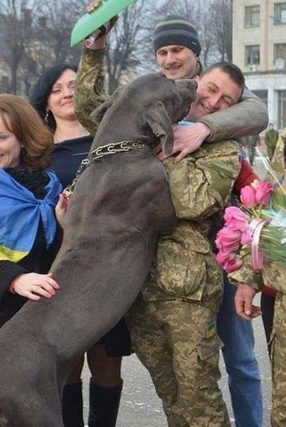 Чим займаються на Донбасі найкращі друзі бійців АТО-4 - фото 4