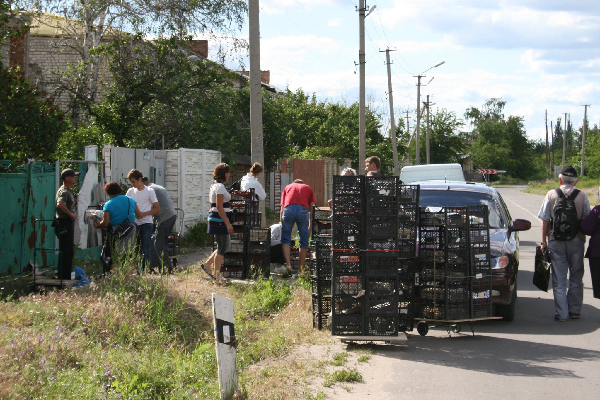 Як у Станиці мешканці "ЛНР" ящиками скуповують полуницю, огірки, помідори (ФОТО) - фото 2