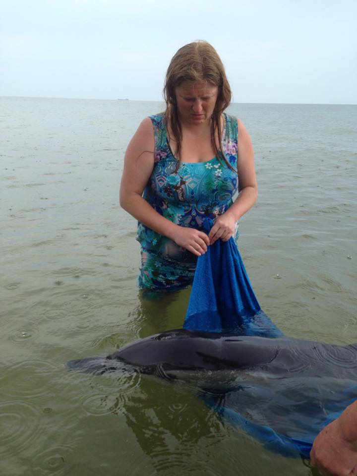 На Миколаївському курорті відпочивальники врятували дельфіна - фото 1