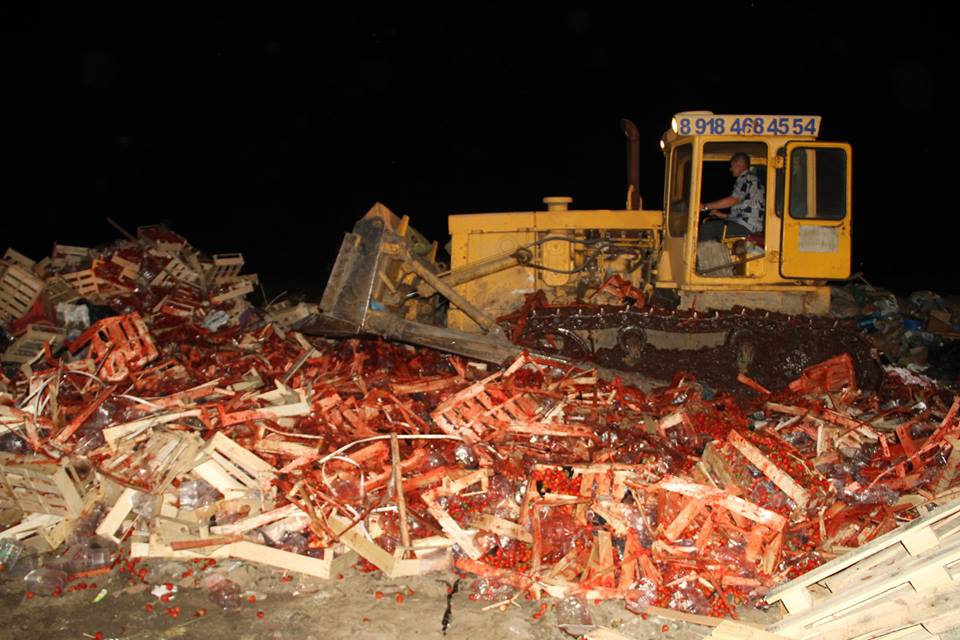 На Кубані розчавили 38 тонн "бандерівської" полуниці - фото 1