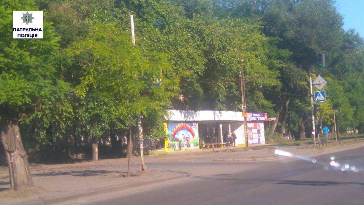 "Миколаївзеленгосп" так і не обрізав гілля, що перекриває дорожні знаки