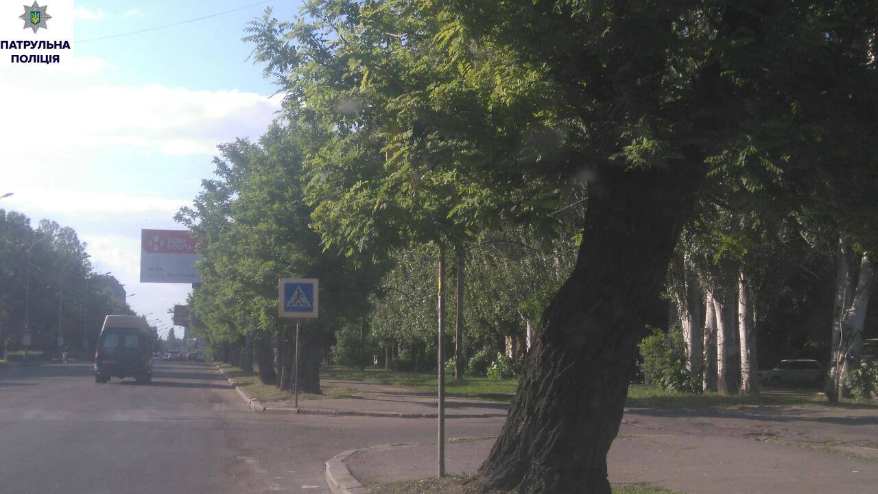 "Миколаївзеленгосп" так і не обрізав гілля, що перекриває дорожні знаки