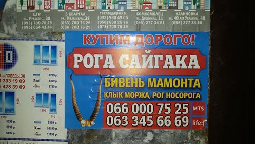 Горлівські мамонти: У "ДНР" пропонують новий від заробітку (ФОТО) - фото 1