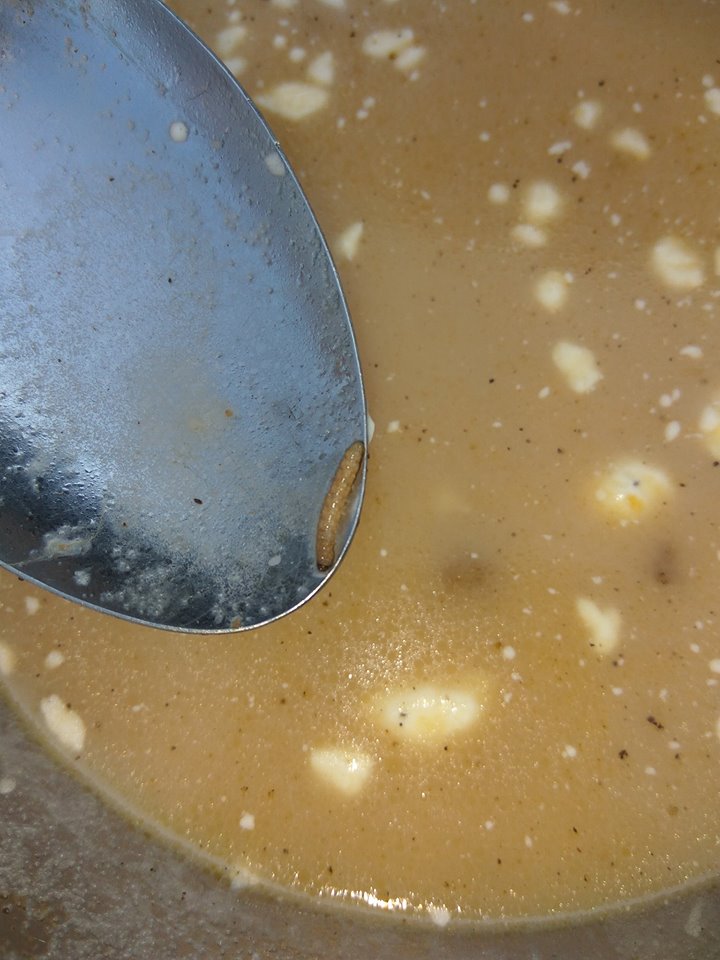 Боєць показав суп із хробаками, яким годують військових в АТО (ФОТО) - фото 2