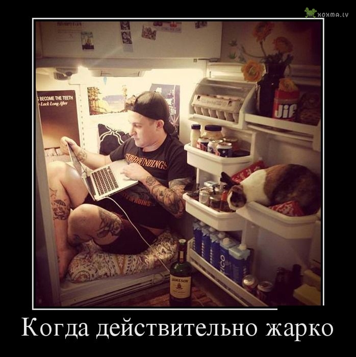 Анекдоты в картинках жара невозможная жара, скорбим