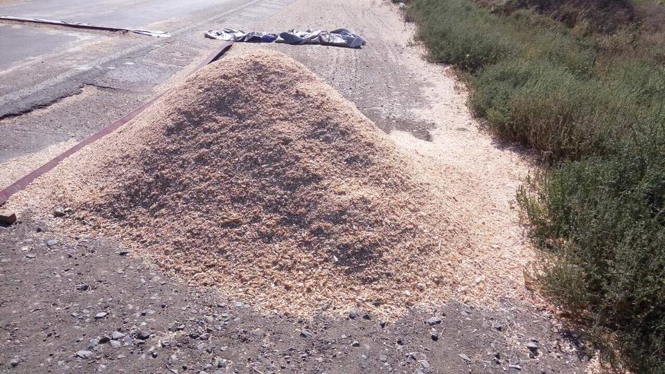 Поки у Миколаєві стріляють в бізнесменів поліція охороняє купу тирси - фото 1