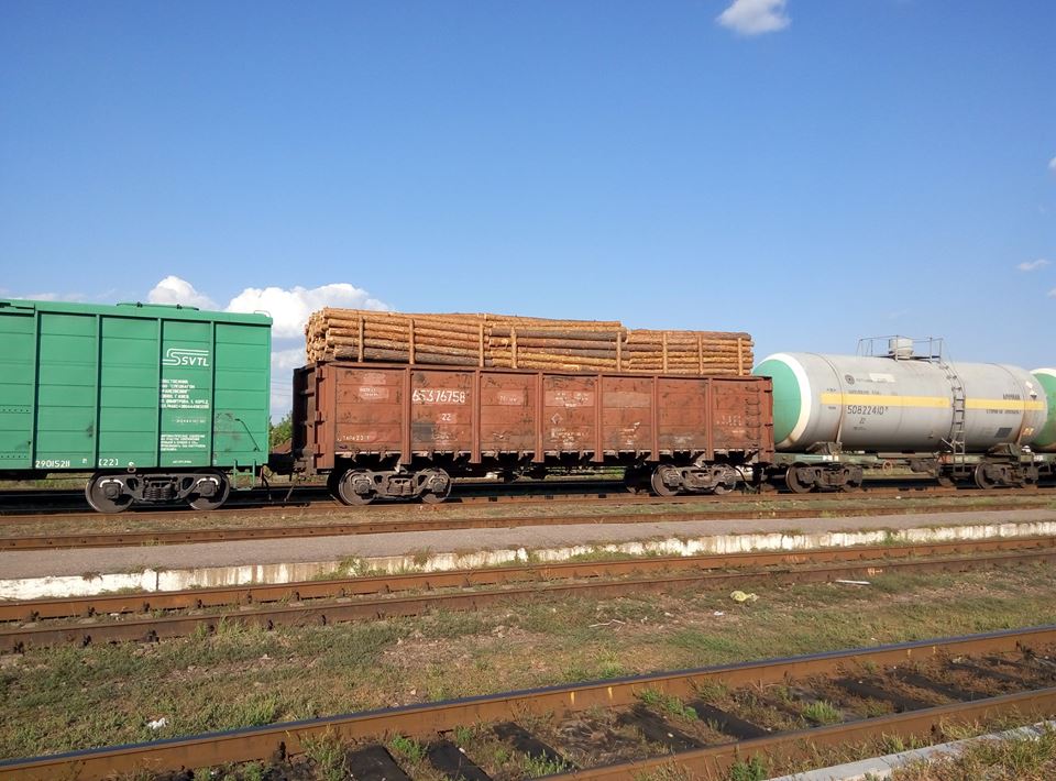 З Луганщини масово вивозять ліс вагонами та вантажівками: поліція закриває очі (ФОТО) - фото 3