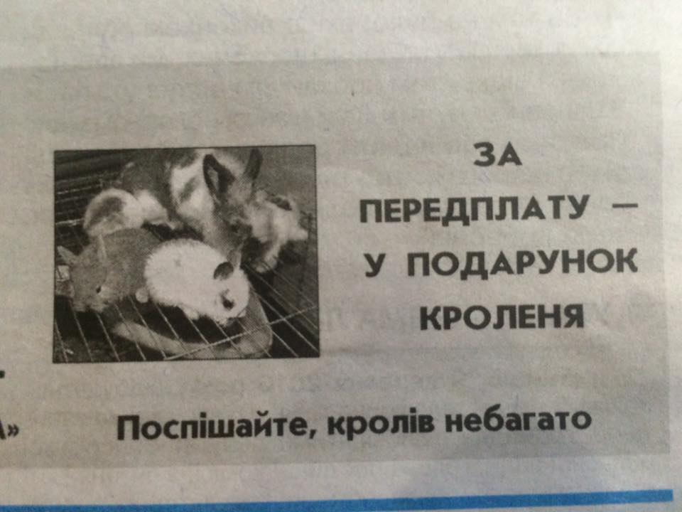 Запорізька обласна газета заманює передплатників кролями - фото 1