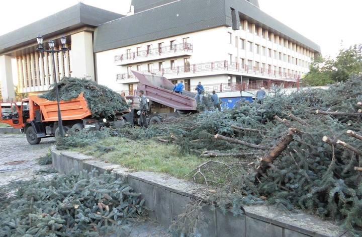 В Ужгородській мерії прокоментували скандал довкола вирубки дерев біля драмтеатру - фото 1