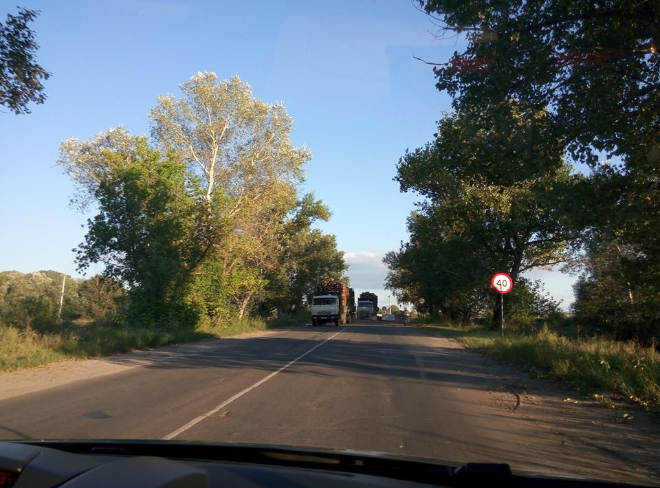 З Луганщини масово вивозять ліс вагонами та вантажівками: поліція закриває очі (ФОТО) - фото 2