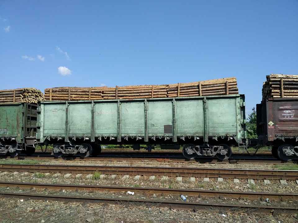 З Луганщини масово вивозять ліс вагонами та вантажівками: поліція закриває очі (ФОТО) - фото 5
