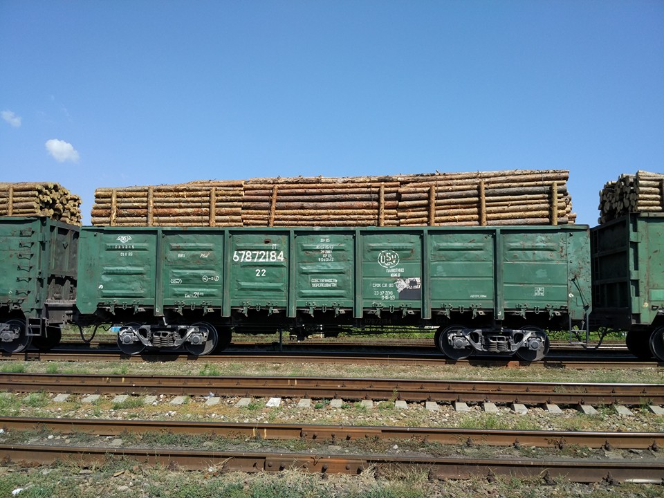 З Луганщини масово вивозять ліс вагонами та вантажівками: поліція закриває очі (ФОТО) - фото 4