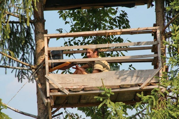 Як у Карпатах "сучасні офіси" на деревах будують - фото 2