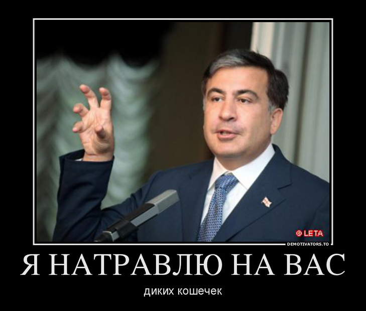 ГПУ получила запрос от Минюста Грузии о выдаче Саакашвили, - Сарган - Цензор.НЕТ 8937